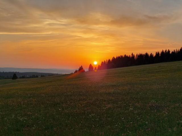 Landgasthof Neitsch Schwarzenberg  Dış mekan fotoğraf