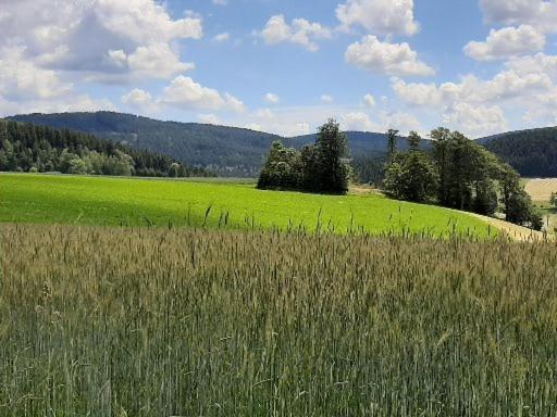 Landgasthof Neitsch Schwarzenberg  Dış mekan fotoğraf